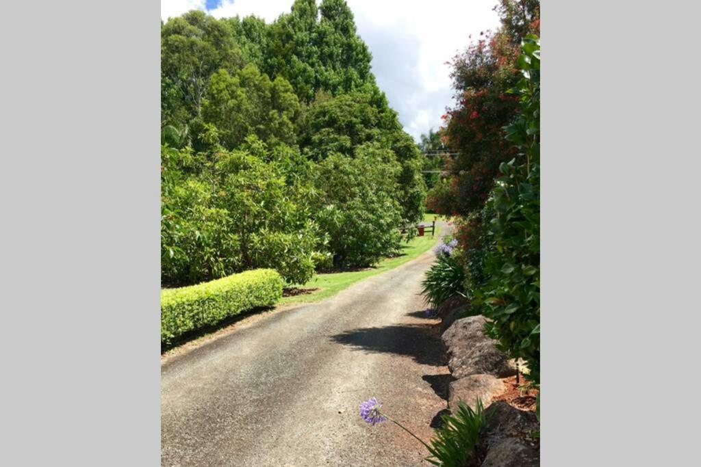 Bundara - Idyllic Getaway In The Mountains Apartment Tamborine Mountain Exterior photo